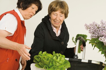 Einkaufen - Kochen